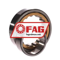 FAG NU2211-E-XL-M1 rulman resim 3