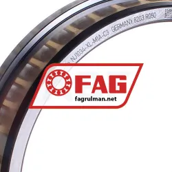 FAG NJ1034-XL-M1A-C3 rulman resim 2