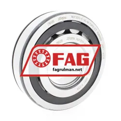 FAG NUP309-E-XL-N-TVP2-C3