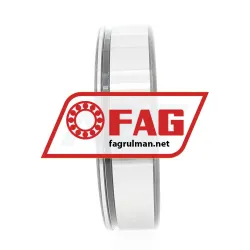 FAG NUP309-E-XL-N-TVP2-C3 rulman resim 4