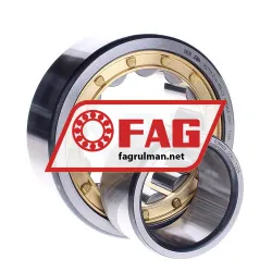 FAG NU2313-E-XL-M1A-C3 rulman resim 2