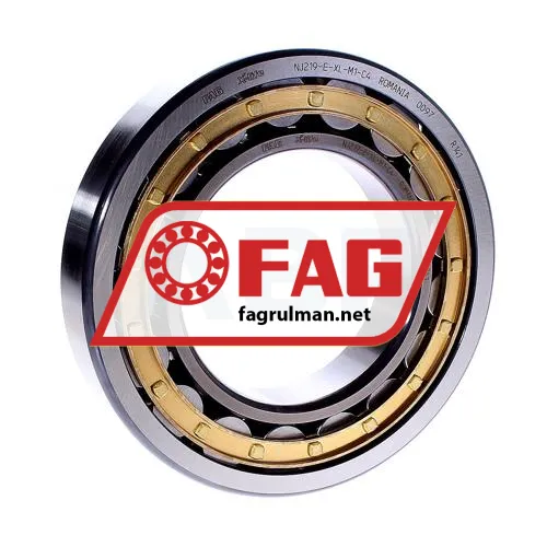 FAG NJ219-E-XL-M1-C4