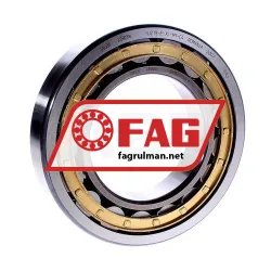 FAG NJ219-E-XL-M1-C4