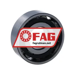 FAG N203-E-XL-TVP2 rulman resim 2