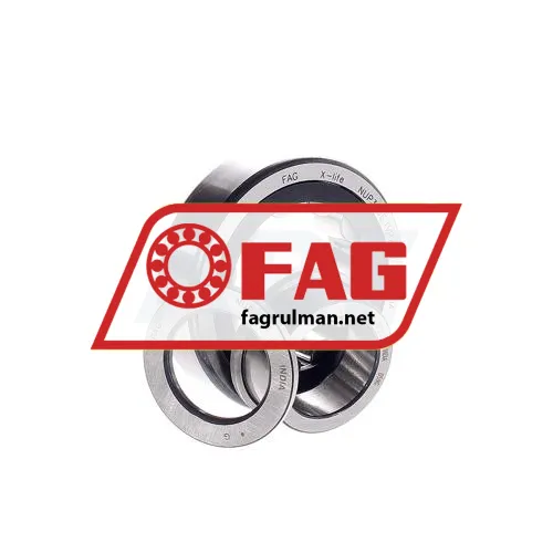 FAG NUP305E-TVP2-C3 ürün fotoğrafı 2