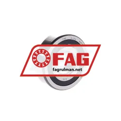 FAG NUP305E-TVP2-C3