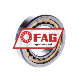 FAG NU1007M1