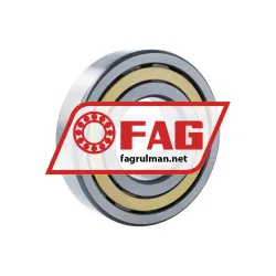 FAG NJ314-E-XL-M1-F1-C4 rulman resim 2