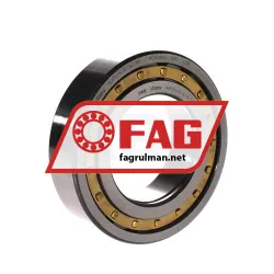FAG NUP2214-E-XL-M1