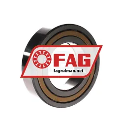 FAG NUP2214-E-XL-M1 rulman resim 2