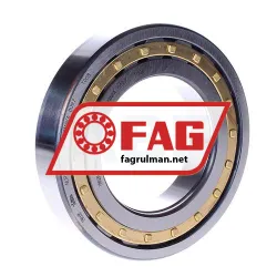 FAG NUP215-E-XL-M1