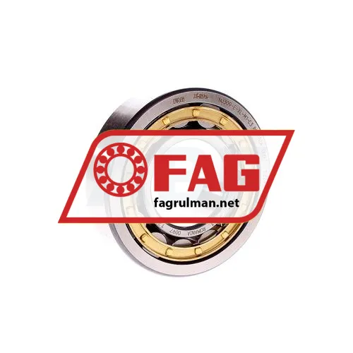 FAG NU309-E-XL-M1A-C3