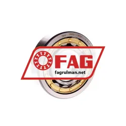 FAG NU309-E-XL-M1A-C3