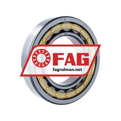 FAG NU220-E-XL-M1-C3