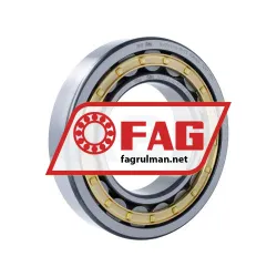 FAG NU220-E-XL-M1-C3
