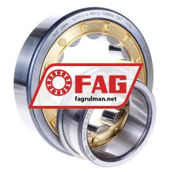 FAG NJ315-E-XL-M1A-C4 rulman resim 2