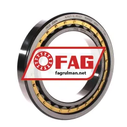 FAG NJ1021-XL-M1-C3