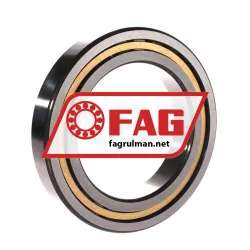 FAG NJ1021-XL-M1-C3 rulman resim 2