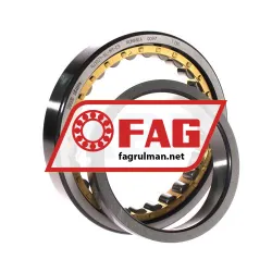 FAG NJ1021-XL-M1-C3 rulman resim 3