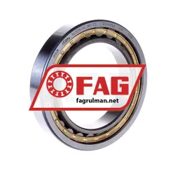 FAG NJ1015-XL-M1-C3