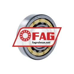 FAG NJ310-E-XL-M1-C3