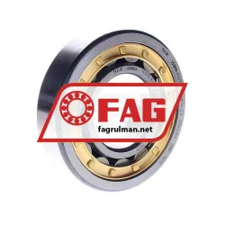 FAG NJ310-E-XL-M1A-C3