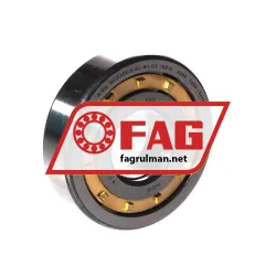 FAG NUP305-E-XL-M1-C3