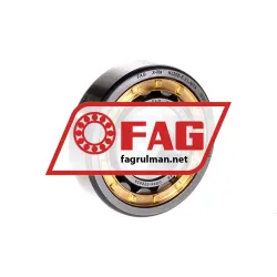 FAG NJ206-E-XL-M1A