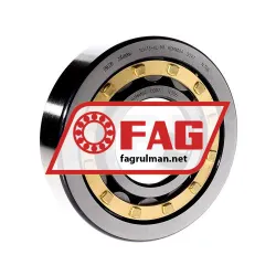 FAG NJ413-XL-M1