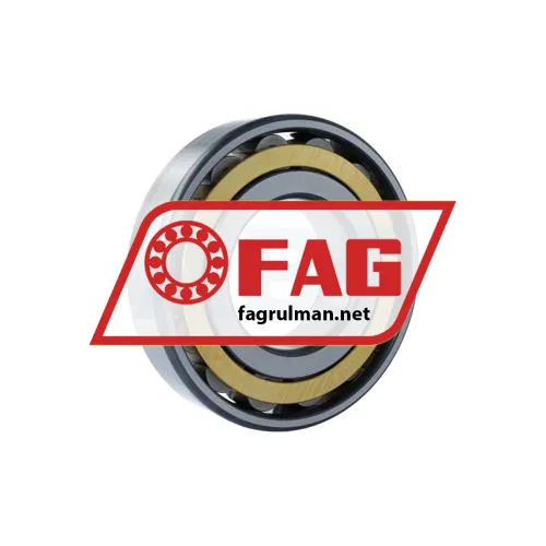 FAG N319-E-XL-M1-C3 ürün fotoğrafı 2