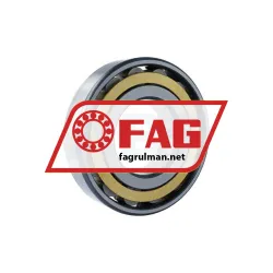FAG N319-E-XL-M1-C3 rulman resim 2