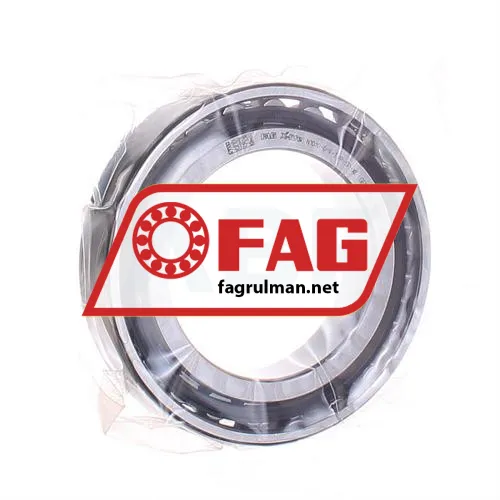 FAG N1010-D-K-TVP-SP-XL