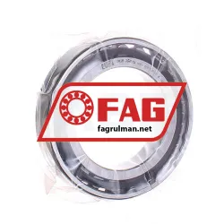 FAG N1010-D-K-TVP-SP-XL