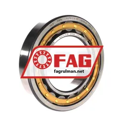 FAG NJ219-E-XL-M1