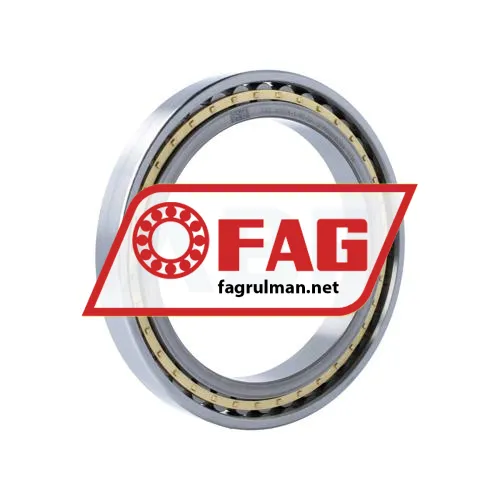 FAG N1928-K-M1-SP