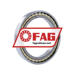 FAG N1928-K-M1-SP