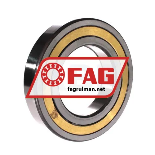 FAG NUP219-E-XL-M1A-C3 ürün fotoğrafı 2