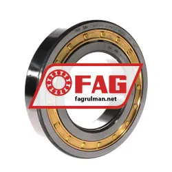 FAG NUP219-E-XL-M1A-C3