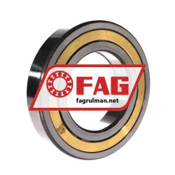 FAG NUP219-E-XL-M1A-C3 rulman resim 2