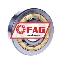 FAG NU409-XL-M1A-C3