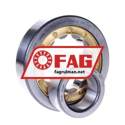 FAG NU409-XL-M1A-C3 rulman resim 2