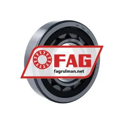 FAG NU314-E-XL-TVP2-F1-C3