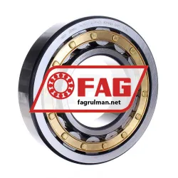 FAG NU319-E-XL-M1-C3