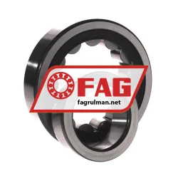 FAG NJ311-E-XL-TVP2-C3 rulman resim 3