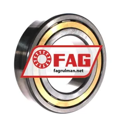 FAG NJ2219-E-XL-M1-C3 rulman resim 2