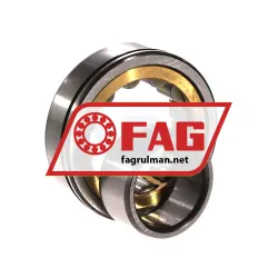 FAG NU205-E-N-MPA-F59-C3 rulman resim 4