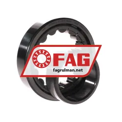 FAG NU209-E-XL-JP1 rulman resim 3