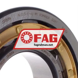 FAG NU313-E-XL-M1 rulman resim 2
