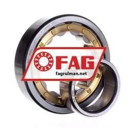 FAG NU313-E-XL-M1 rulman resim 3