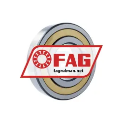 FAG NJ320-E-XL-M1A-C4 rulman resim 2